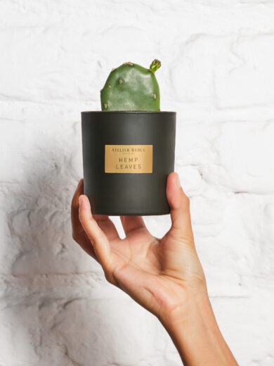 Hemp Leaves Scented Candle 210gr